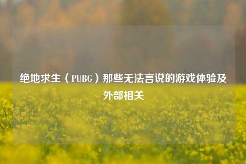 绝地求生（PUBG）那些无法言说的游戏体验及外部相关