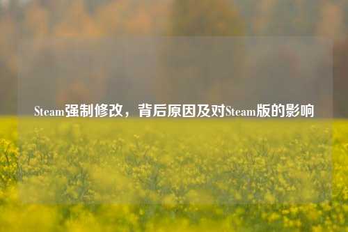 Steam强制修改，背后原因及对Steam版的影响