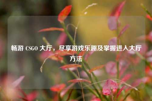 畅游 CSGO 大厅，尽享游戏乐趣及掌握进入大厅方法