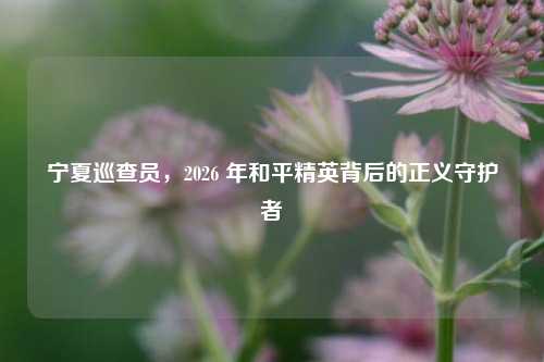 宁夏巡查员，2026 年和平精英背后的正义守护者