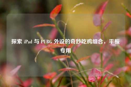 探索 iPad 与 PUBG 外设的奇妙吃鸡组合，平板专用