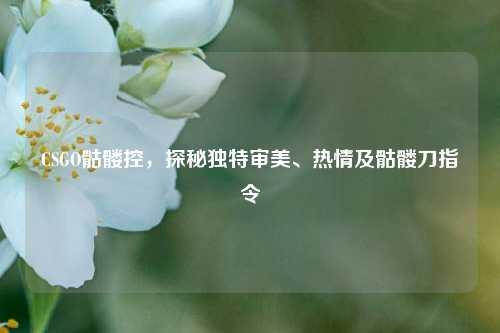 CSGO骷髅控，探秘独特审美、热情及骷髅刀指令