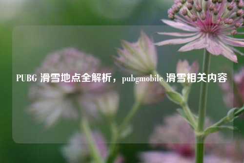 PUBG 滑雪地点全解析，pubgmobile 滑雪相关内容