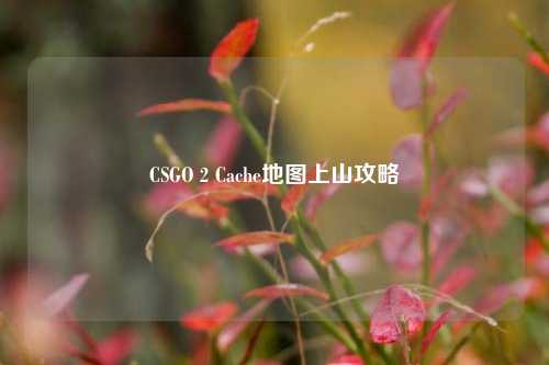 CSGO 2 Cache地图上山攻略
