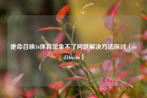 使命召唤16体育馆拿不了问题解决方法探讨（cod16wzm）