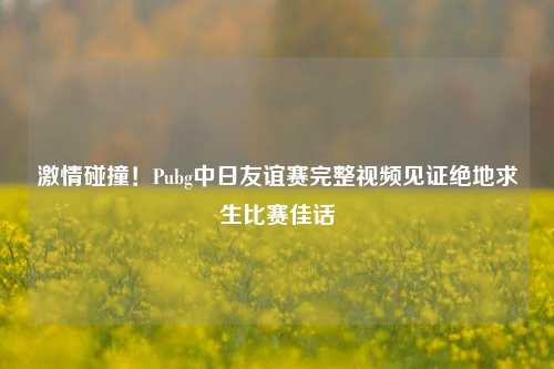 激情碰撞！Pubg中日友谊赛完整视频见证绝地求生比赛佳话
