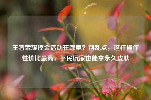 王者荣耀摸金活动在哪里？别乱点，这样操作性价比最高，平民玩家也能拿永久皮肤