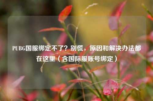 PUBG国服绑定不了?别慌,原因和解决办法都在这里(含国际服账号绑定)