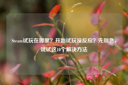 Steam试玩在哪里?开始试玩没反应?先别急,试试这10个解决方法