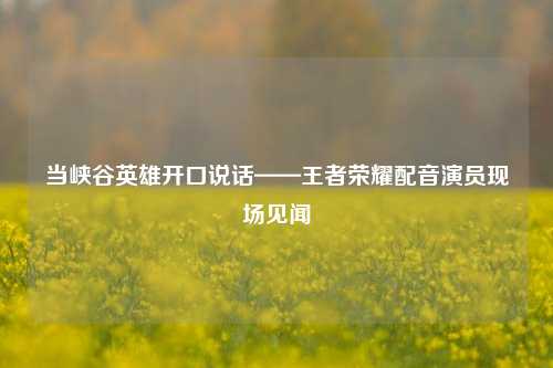 当峡谷英雄开口说话——王者荣耀配音演员现场见闻