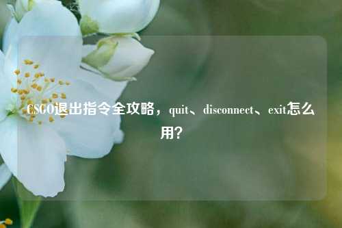 CSGO退出指令全攻略，quit、disconnect、exit怎么用？