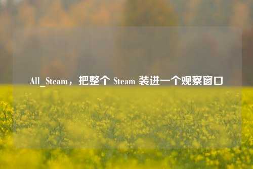 All_Steam,把整个 Steam 装进一个观察窗口