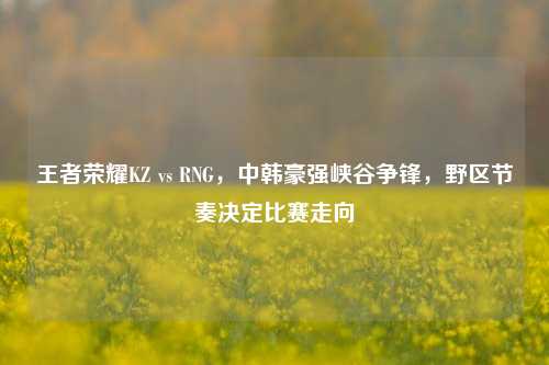 王者荣耀KZ vs RNG，中韩豪强峡谷争锋，野区节奏决定比赛走向