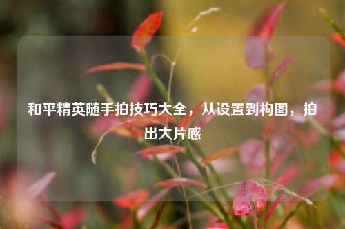 和平精英随手拍技巧大全，从设置到构图，拍出大片感