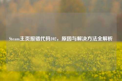 Steam主页报错代码102，原因与解决方法全解析