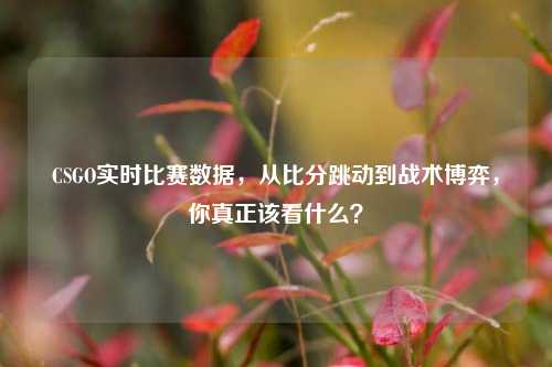 CSGO实时比赛数据，从比分跳动到战术博弈，你真正该看什么？