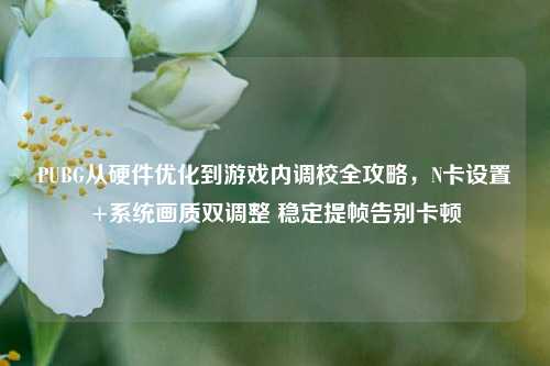 PUBG从硬件优化到游戏内调校全攻略，N卡设置+系统画质双调整 稳定提帧告别卡顿
