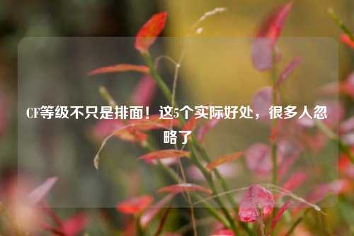 CF等级不只是排面!这5个实际好处,很多人忽略了
