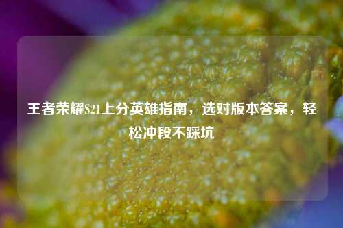 王者荣耀S21上分英雄指南，选对版本答案，轻松冲段不踩坑