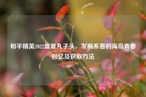 和平精英2022盛夏丸子头，发梢系着的海岛青春回忆及获取方法