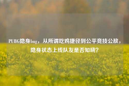 PUBG隐身bug,从所谓吃鸡捷径到公平竞技公敌,隐身状态上线队友是否知晓?