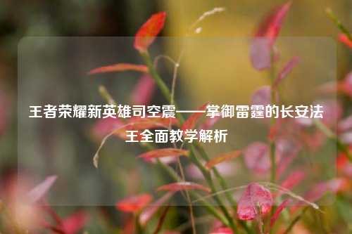 王者荣耀新英雄司空震——掌御雷霆的长安法王全面教学解析