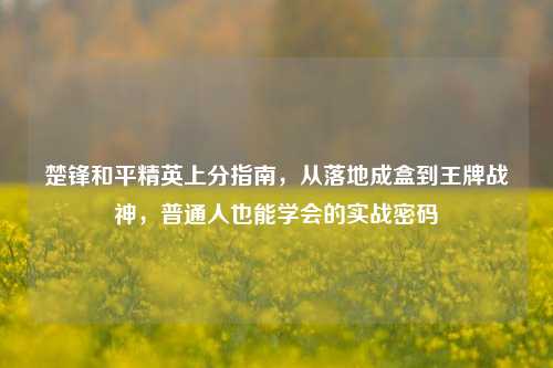 楚锋和平精英上分指南，从落地成盒到王牌战神，普通人也能学会的实战密码