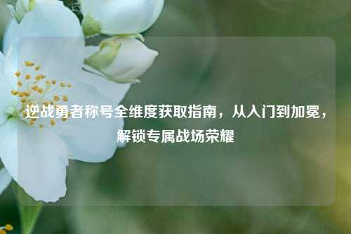 逆战勇者称号全维度获取指南,从入门到加冕,解锁专属战场荣耀