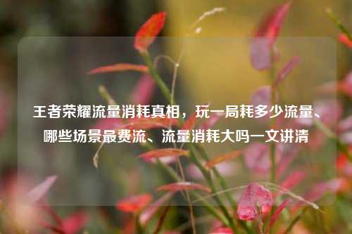 王者荣耀流量消耗真相,玩一局耗多少流量、哪些场景最费流、流量消耗大吗一文讲清