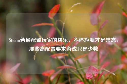 Steam普通配置玩家的快乐，不追旗舰才是常态，那些高配置要求游戏只是少数