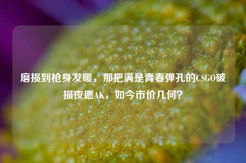 磨损到枪身发暖，那把满是青春弹孔的CSGO破损夜愿AK，如今市价几何？