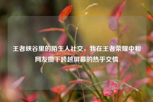 王者峡谷里的陌生人社交，我在王者荣耀中和网友攒下跨越屏幕的热乎交情