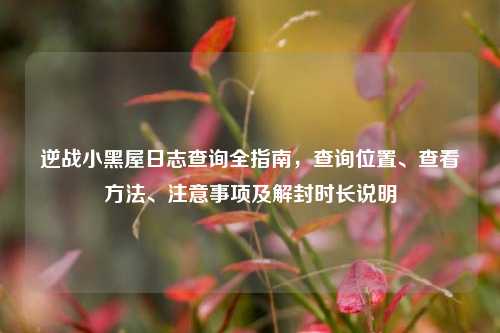 逆战小黑屋日志查询全指南，查询位置、查看方法、注意事项及解封时长说明