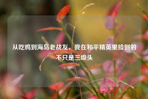 从吃鸡到海岛老战友,我在和平精英里捡到的不只是三级头