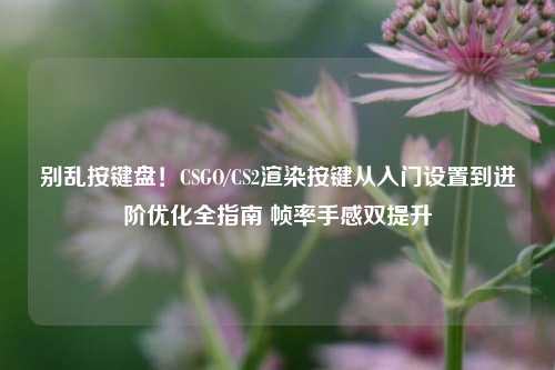 别乱按键盘!CSGO/CS2渲染按键从入门设置到进阶优化全指南 帧率手感双提升