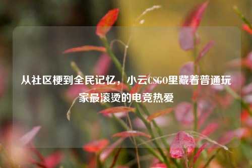 从社区梗到全民记忆,小云CSGO里藏着普通玩家最滚烫的电竞热爱