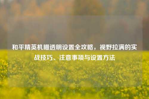 和平精英机瞄透明设置全攻略，视野拉满的实战技巧、注意事项与设置方法