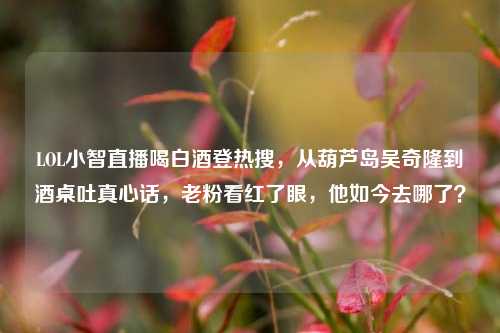 LOL小智直播喝白酒登热搜，从葫芦岛吴奇隆到酒桌吐真心话，老粉看红了眼，他如今去哪了？
