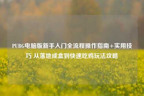 PUBG电脑版新手入门全流程操作指南+实用技巧 从落地成盒到快速吃鸡玩法攻略
