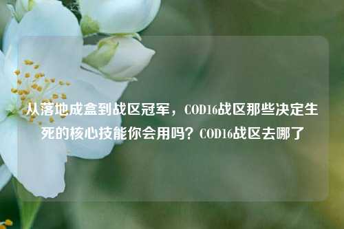 从落地成盒到战区冠军，COD16战区那些决定生死的核心技能你会用吗？COD16战区去哪了