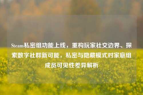 Steam私密组功能上线,重构玩家社交边界、探索数字社群新可能,私密与隐藏模式对家庭组成员可见性差异解析