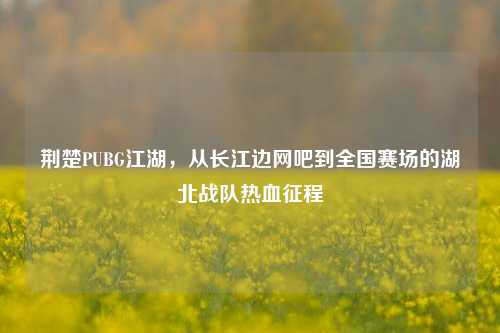 荆楚PUBG江湖，从长江边网吧到全国赛场的湖北战队热血征程