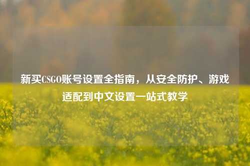 新买CSGO账号设置全指南，从安全防护、游戏适配到中文设置一站式教学