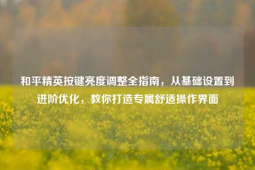 和平精英按键亮度调整全指南，从基础设置到进阶优化，教你打造专属舒适操作界面