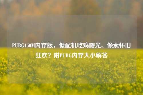 PUBG150M内存版,低配机吃鸡曙光、像素怀旧狂欢?附PUBG内存大小解答