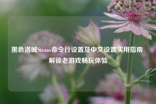 黑色洛城Steam命令行设置及中文设置实用指南 解锁老游戏畅玩体验