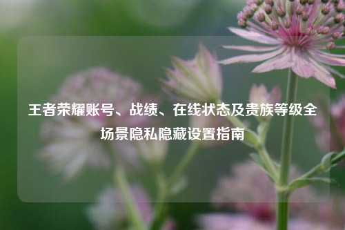 王者荣耀账号、战绩、在线状态及贵族等级全场景隐私隐藏设置指南