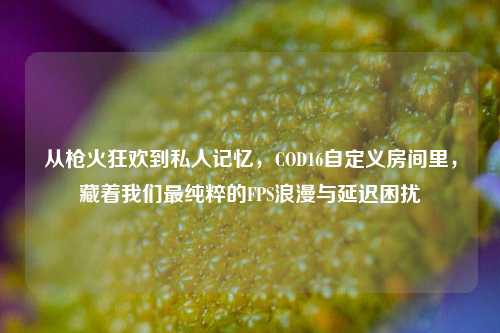 从枪火狂欢到私人记忆，COD16自定义房间里，藏着我们最纯粹的FPS浪漫与延迟困扰