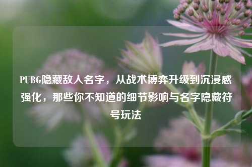 PUBG隐藏敌人名字，从战术博弈升级到沉浸感强化，那些你不知道的细节影响与名字隐藏符号玩法