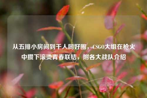 从五排小房间到千人同好圈，CSGO大组在枪火中攒下滚烫青春联结，附各大战队介绍